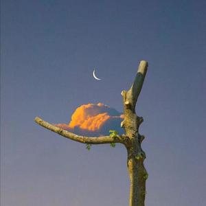 黄色一级操逼受不了
